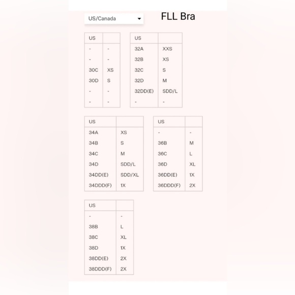 NWOT For Love and Lemons 🍋 Creamsicle Lace Underwire Bra 38C - Picture 4 of 7